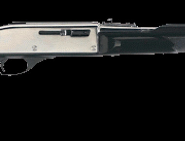 Βολή με το σπάνιο τυφέκιο Remington Nylon 66 Apache (βίντεο)